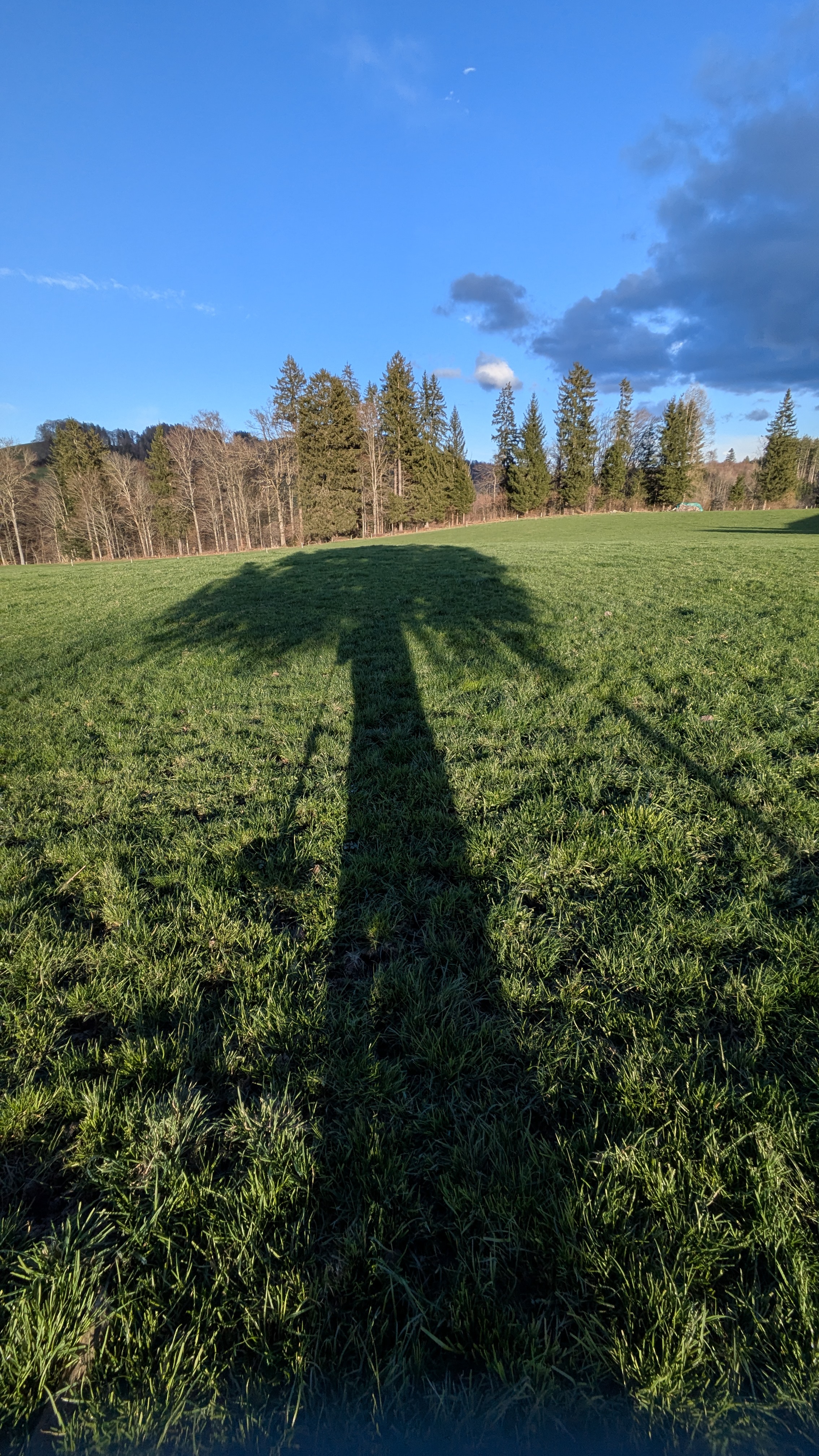 Nouvelle vidéo: Conditionnement de la luzerne